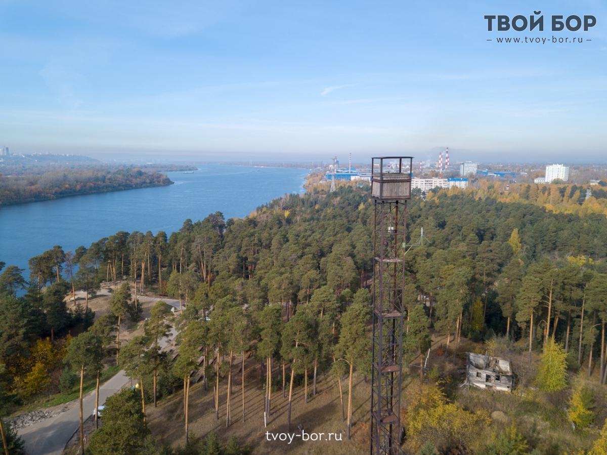 памятник горькому и шаляпину на моховых горах