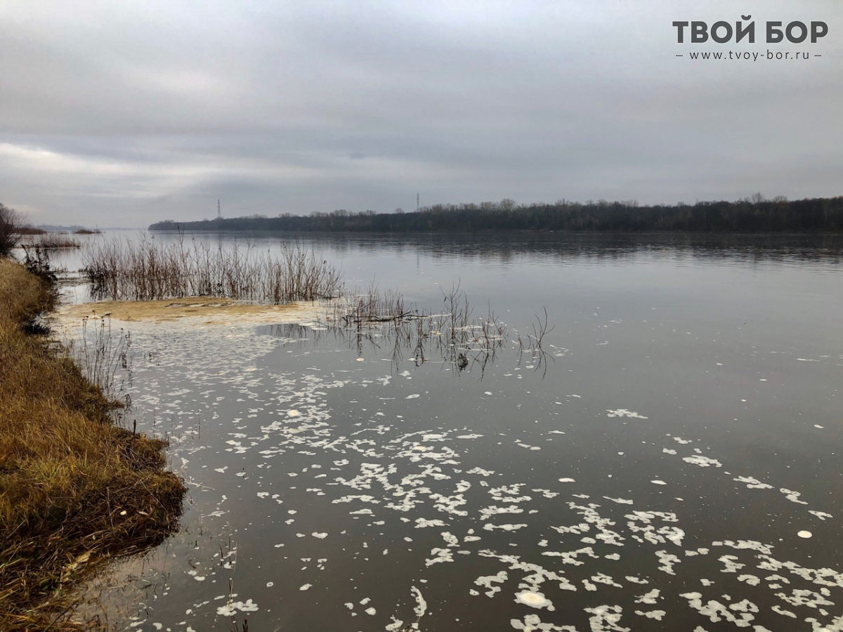 Волга в районе Бора заплыла соляркой? — новости города Бор