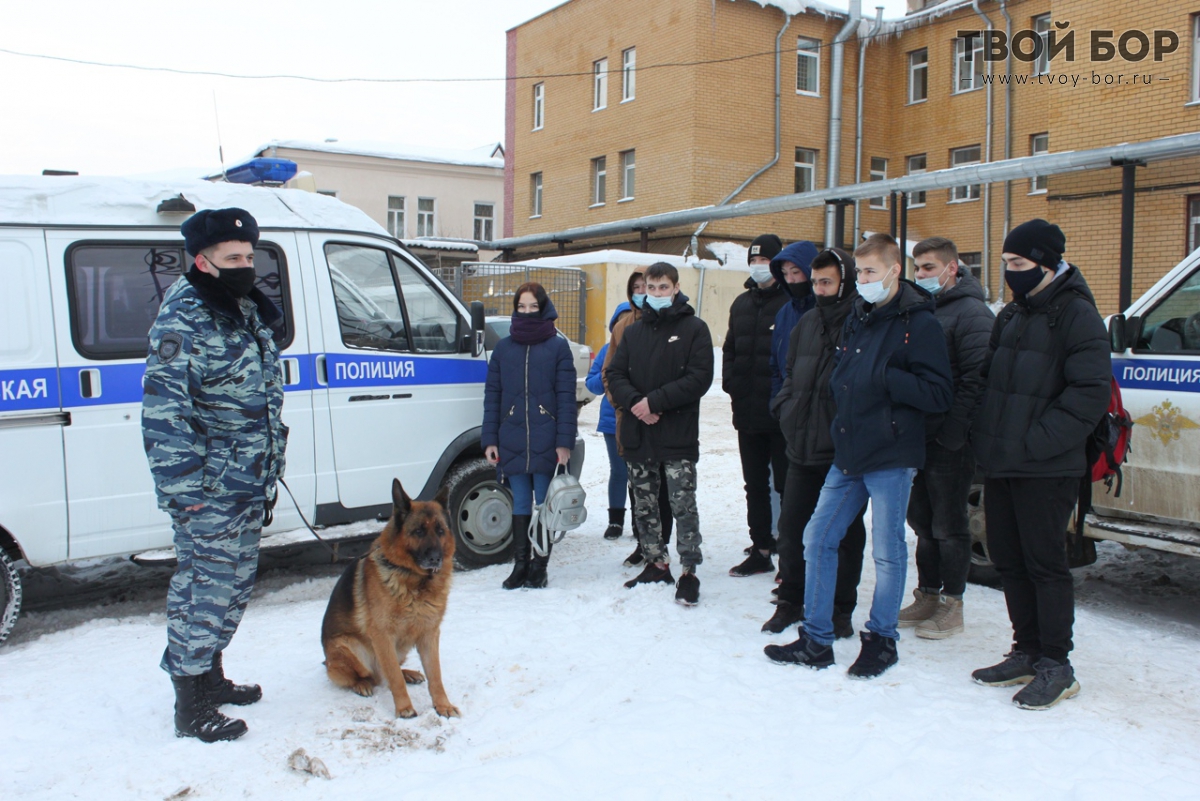 Полиция 26. Полиция город Бор. Полиция Нижегородской области. Полиция Нижегородской области г.Бор. Полиция Бор Нижегородская область.