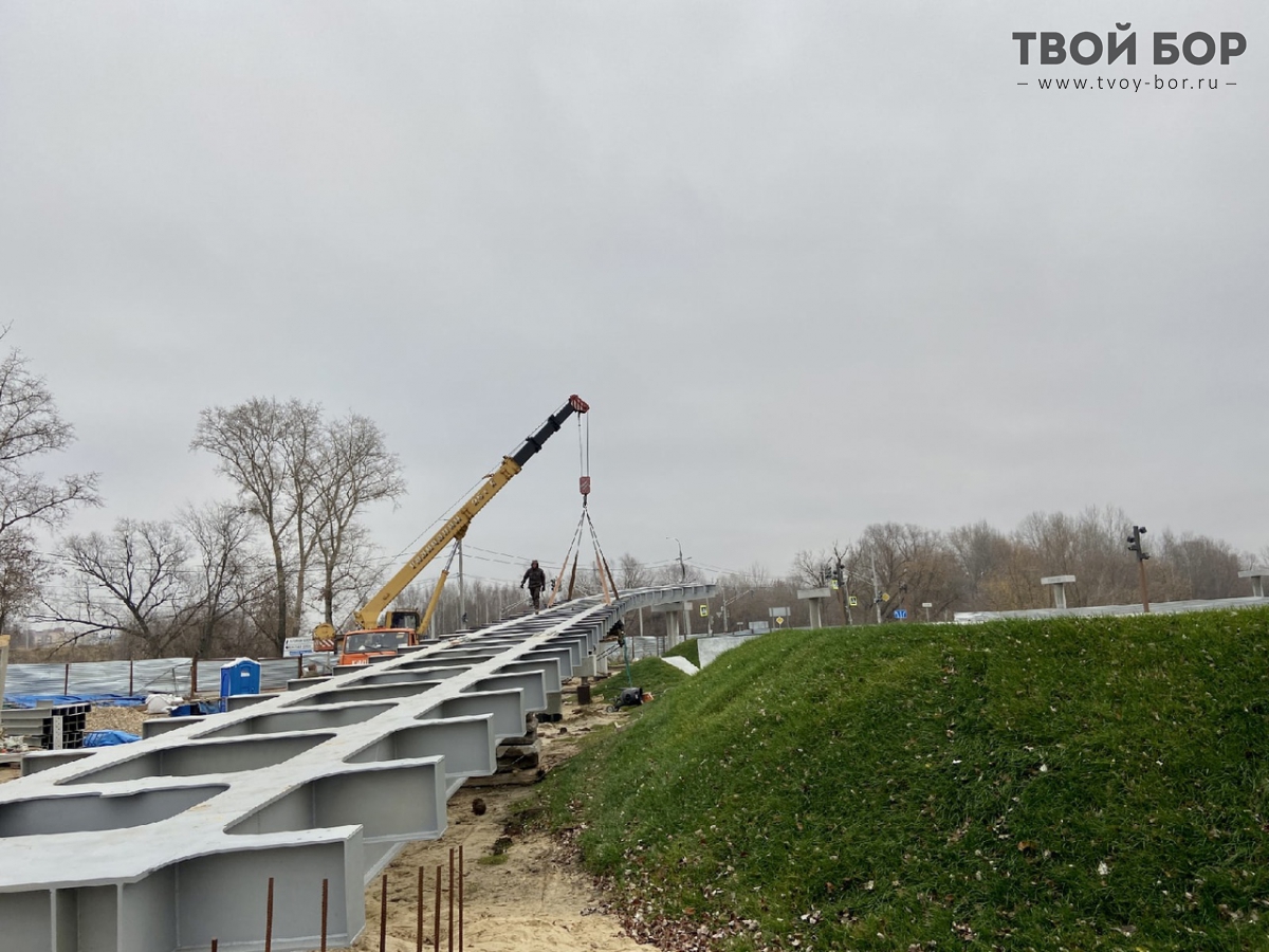 Проект моста на бору