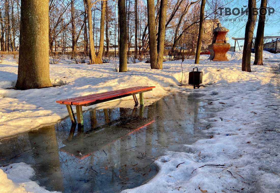 В парке увидела. В парке в парке. Парк в городе Бор. Видное парки. Дорога серебряный Бор.