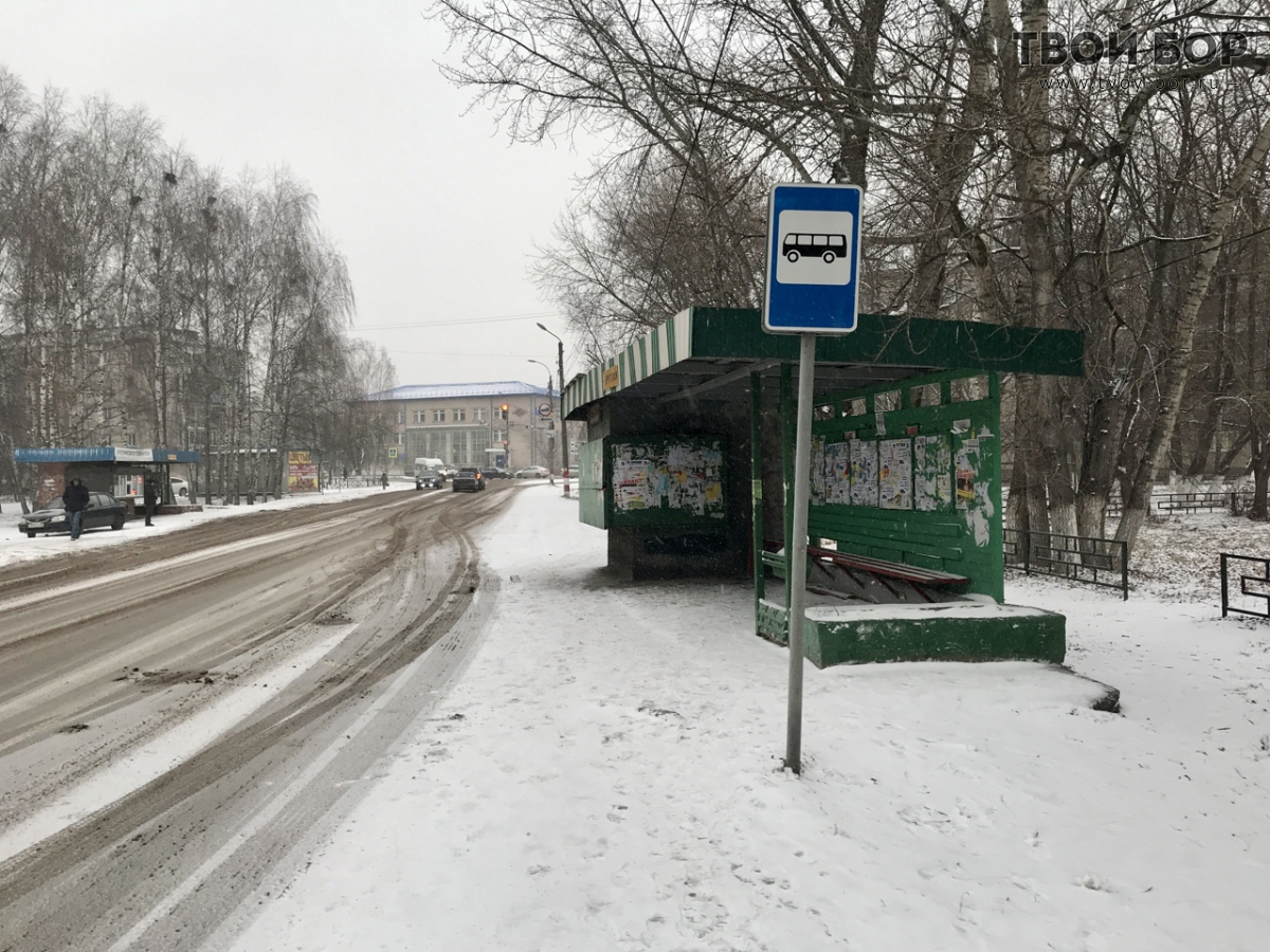 Какая погода в боре. Погдс Бор. Погода Бор Нижегородская. Понда на Бору.