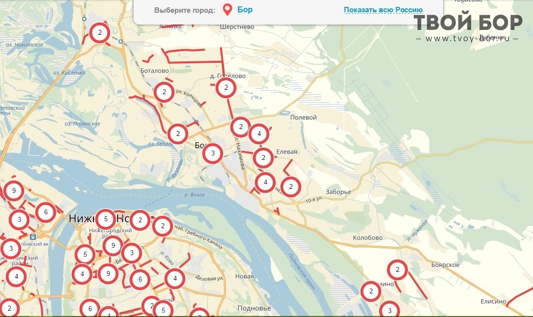 Карта бор нижегородской области с улицами и домами