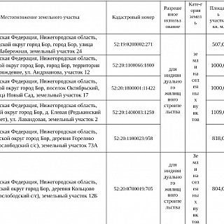 На Бору будут продавать земельные участки 1
