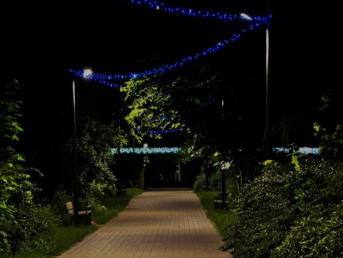 День молодежи на Бору