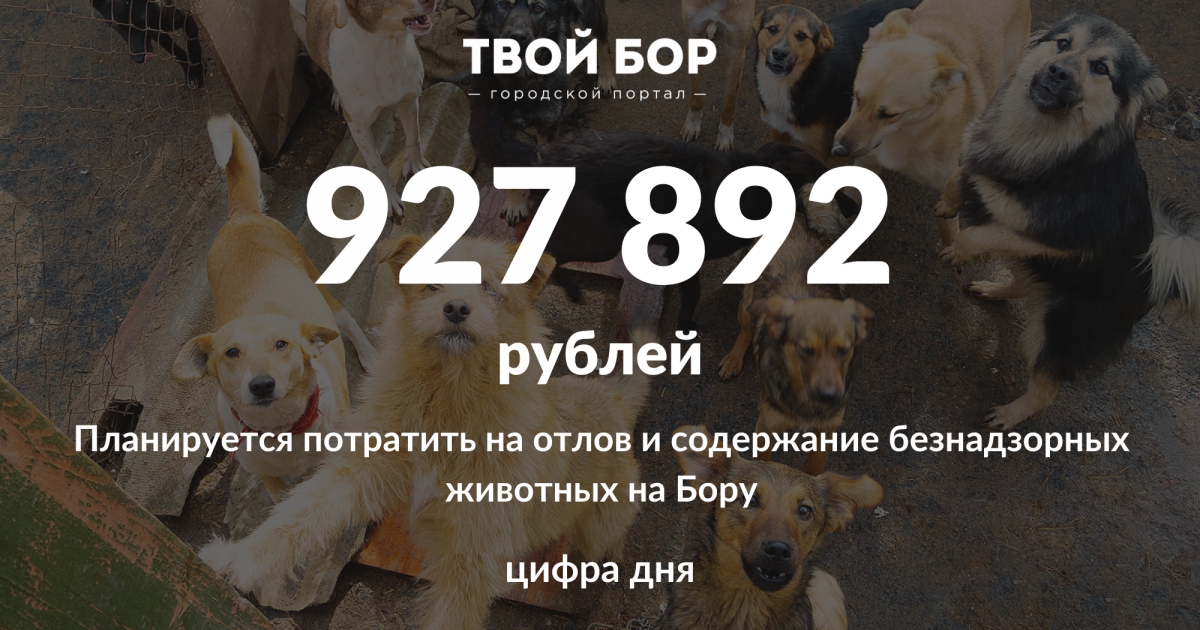 Цифра дня: 927 892...