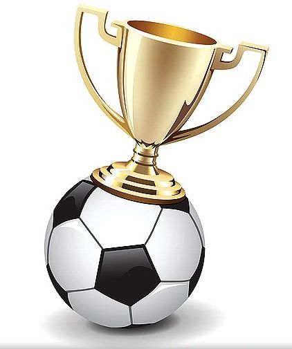 Кубок М.И.Тарбеева (Кубок г. Бор)