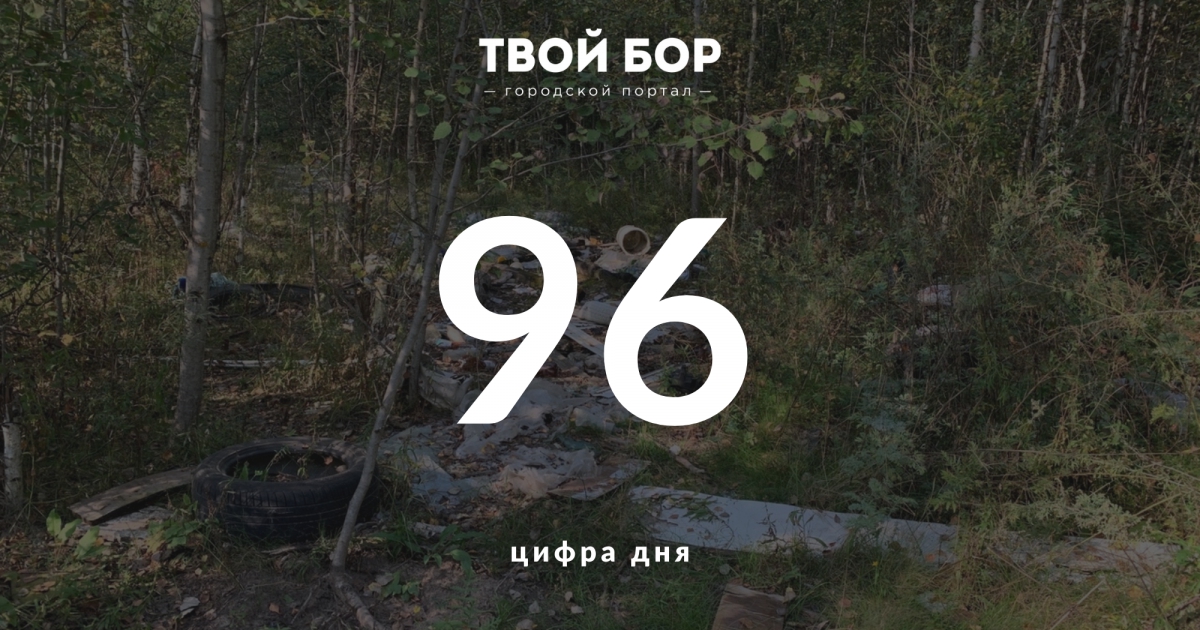 Сайт твой бор. 96 Дней. 3-96 Дней.