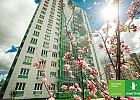 Обмен квартирами без рисков