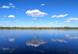 николай м.