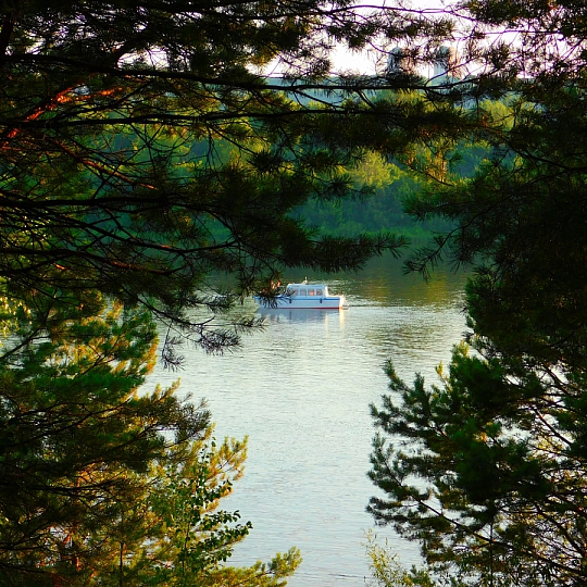 Олег Сергиенко