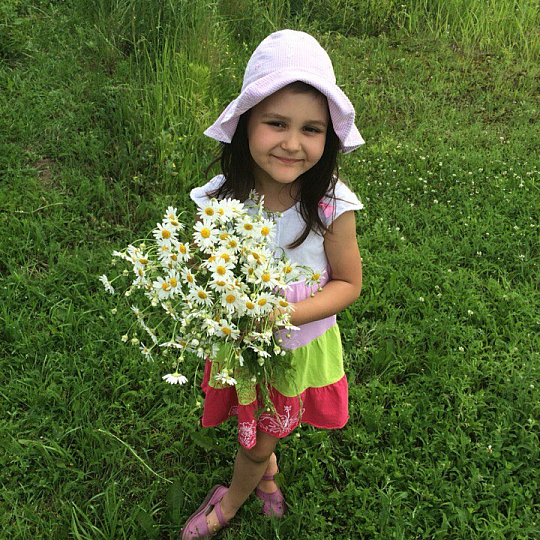 Анна Соловьева