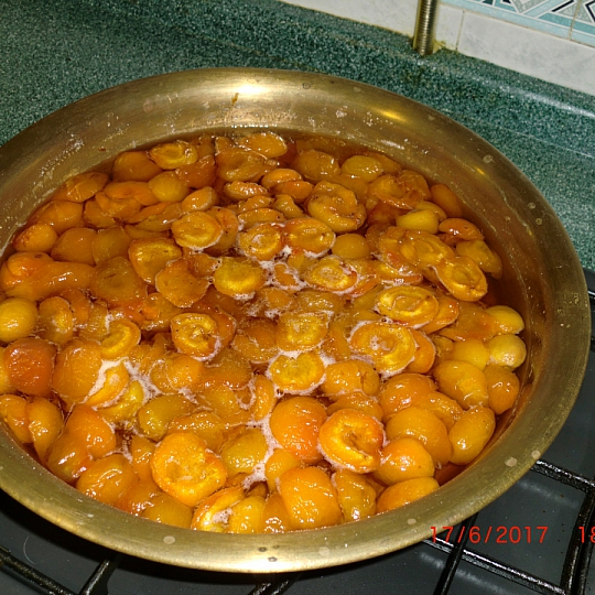 Елена Борецкая