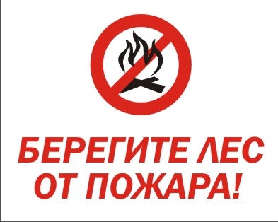 В южных районах Нижегородской области с 23 апреля объявлен пожароопасный сезон.