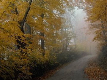 Тёплая погода с небольшими дождями