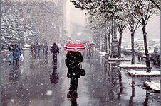 Снег выпадет в конце текущей недели