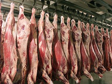 18 тонн мясной продукции направят в Киев из Борского района