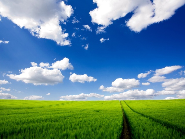 Тепло и облачно будет на этой неделе