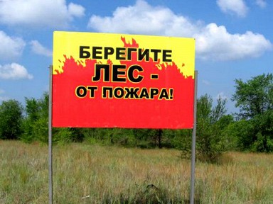 Режим чрезвычайной ситуации введен в лесах Нижегородской области