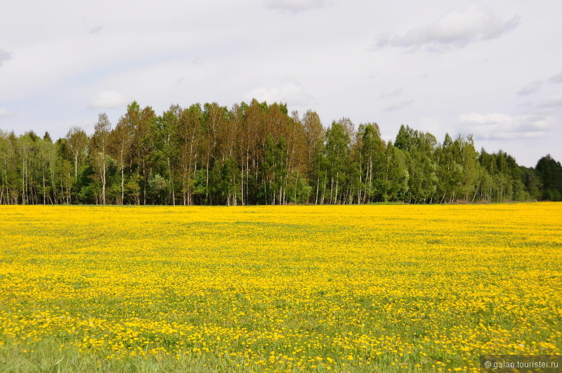 Селяне осваивают новую культуру