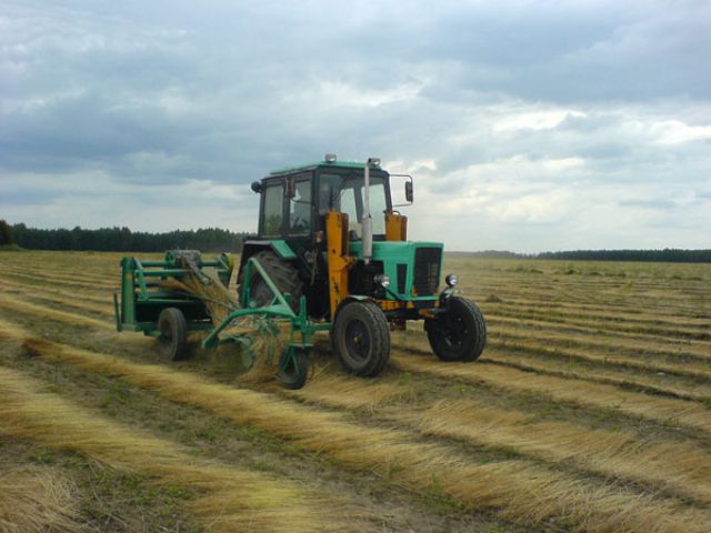 Борские фермеры обратились к председателю Законодательного Собрания