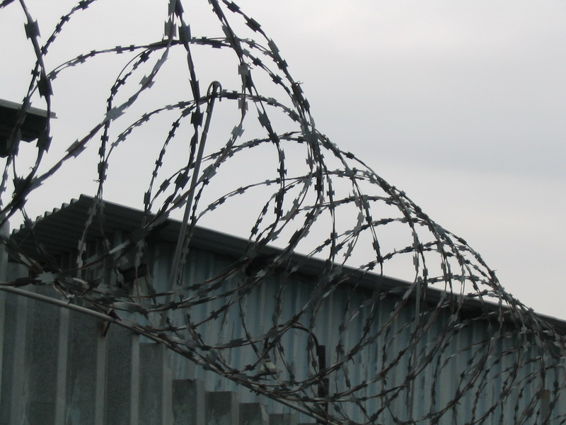 «Кинофестиваль за решеткой» провели в колонии строгого режима на Бору