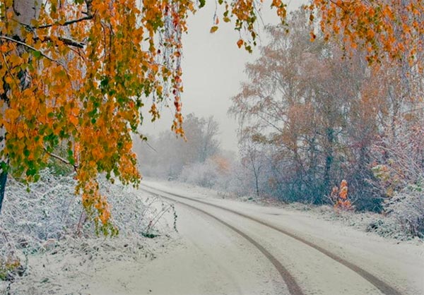 Холодная погода продержится в Нижегородской области до конца недели