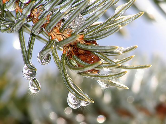 Аномальное тепло пришло в Нижегородскую область