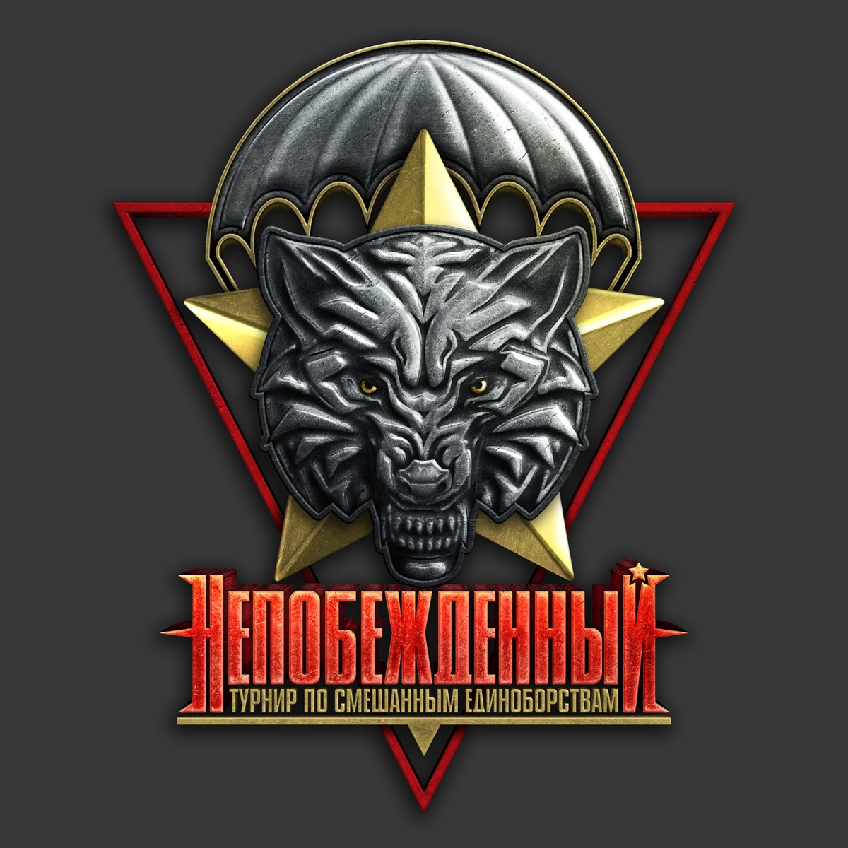 IV открытый международный турнир по смешанным единоборствам на Кубок Героя России Дмитрия Жидкова