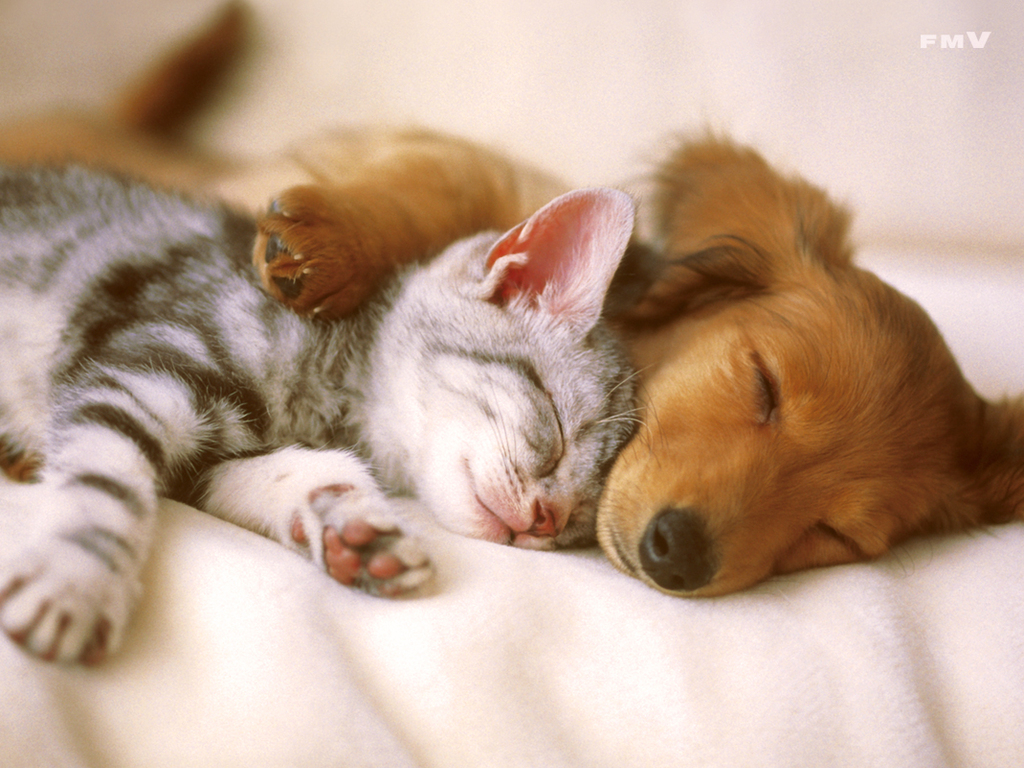 Закон об обеспечении тишины и покоя граждан принят в Нижегородской области