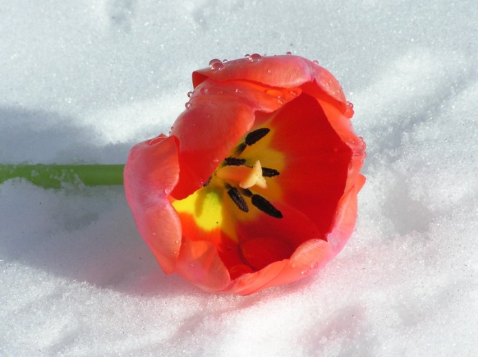 Небольшой снег ожидается в Нижегородской области 8 марта