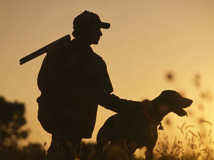 Лимиты добычи охотничьих ресурсов утверждены в Нижегородской области