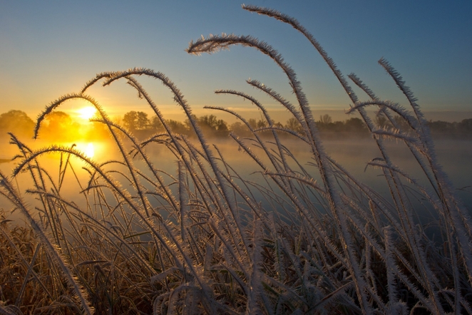 Заморозки прогнозируются в районах Нижегородской области 24 и 25 августа