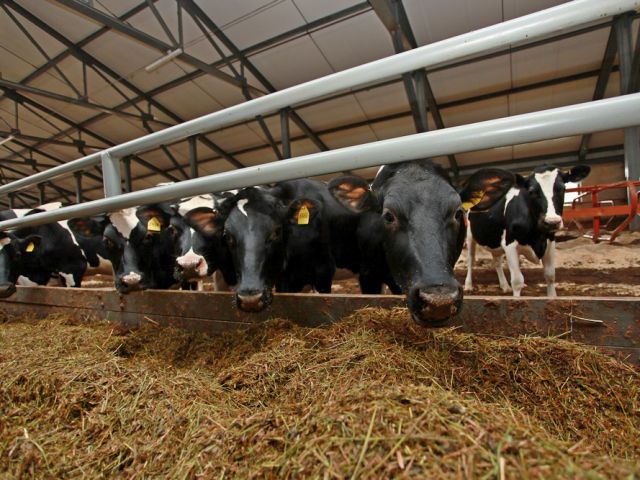 Нижегородская область получит из федерального бюджета около 75 млн рублей на строительство ферм