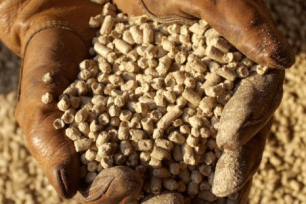 Вагон зараженного соевого шрота из Аргентины нашли в Борском районе