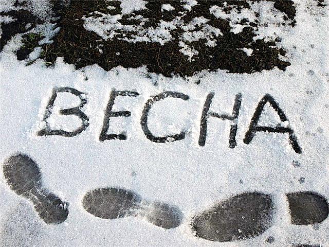 Дождливыми и снежными будут первые апрельские выходные в Нижегородской области