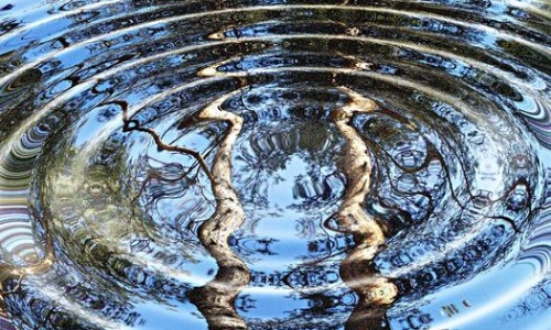 5-летний мальчик утонул в озере на Бору