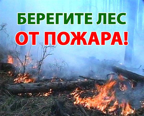 Экстренное предупреждение в области объявлено МЧС