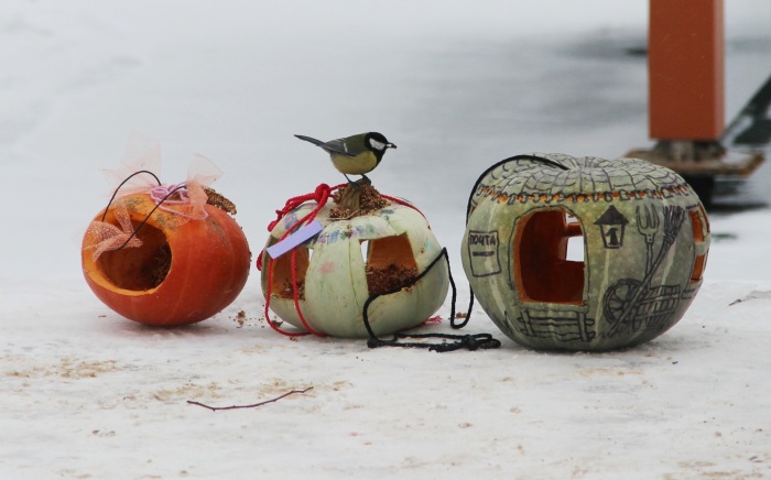 Керженский заповедник провел Синичкин день