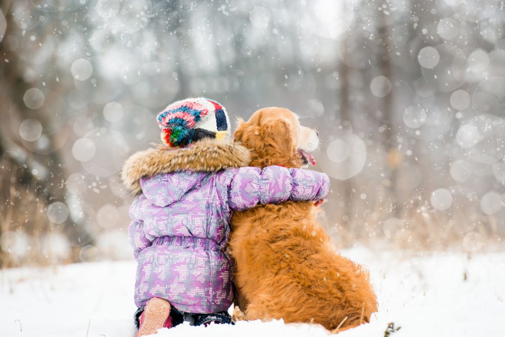 Потепление до −3°С придет в Нижегородскую область в воскресенье