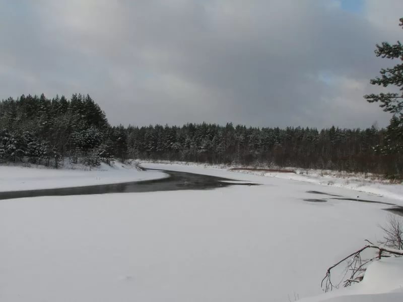 Отдел охраны Керженского заповедника проводит рейды с целью противодействия правонарушениям в сфере использования объектов животного мира