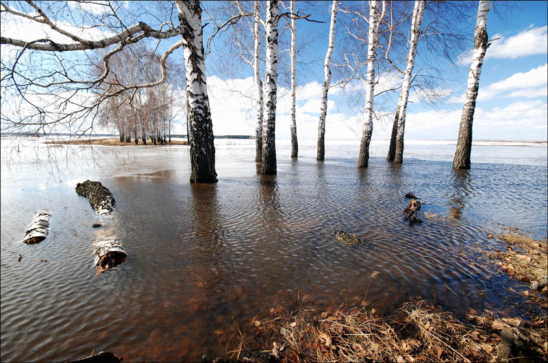 Мост через р. Линду затопило в Борском г. о. 12 апреля