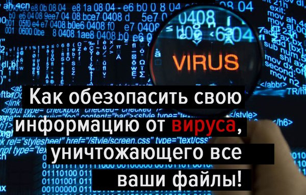 Решение для организаций города Бор по защите информации от вирусов.