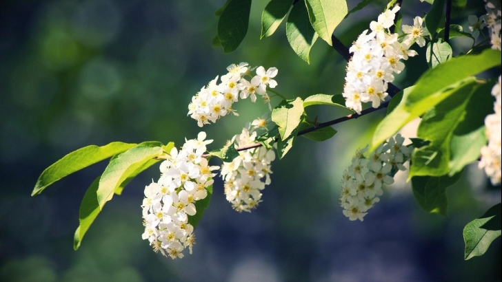 Похолодание до +5 градусов ожидается в Нижегородской области в ближайшие дни