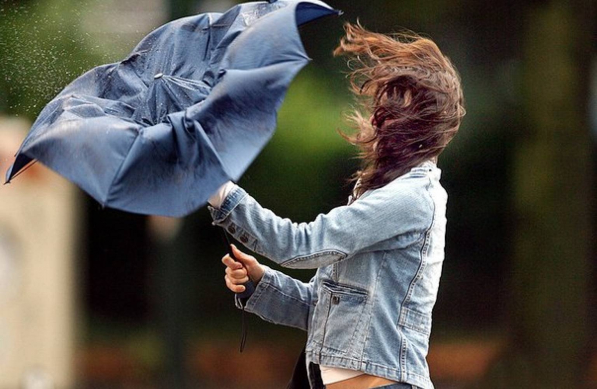 МЧС: сильный ветер ожидается в Нижегородской области 2 июня