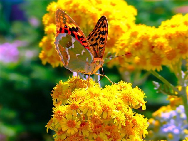 Нижегородские синоптики прогнозируют летнюю температуру в регионе после 6 июня