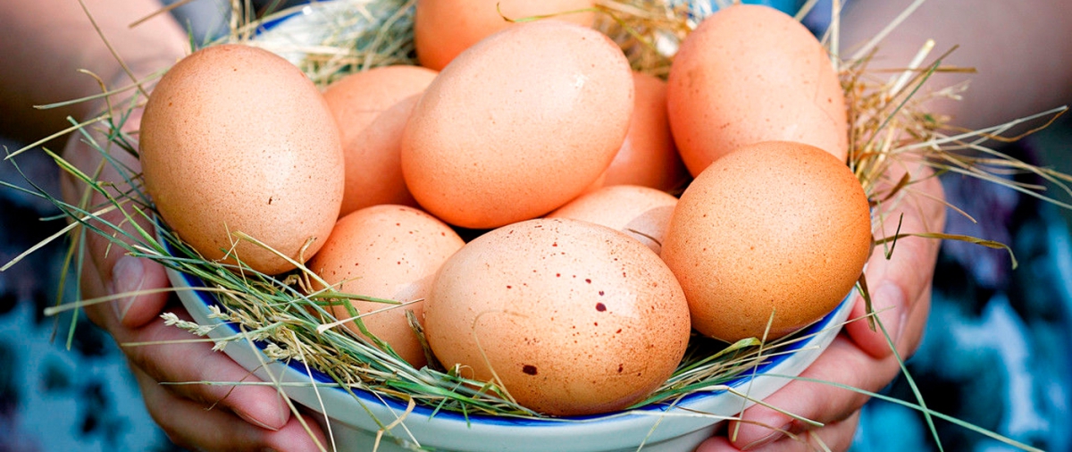 Куриные яйца, молочные продукты и свинина подешевели в Нижегородской области в мае