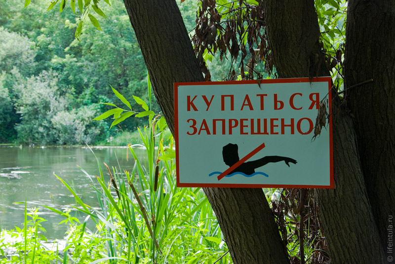 Штрафы за купание в неположенных местах предложили ввести в Нижегородской области