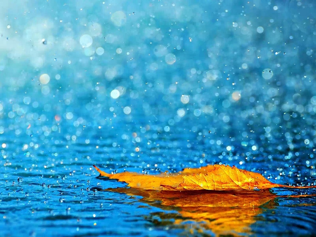 Дожди ожидаются в первой половине недели