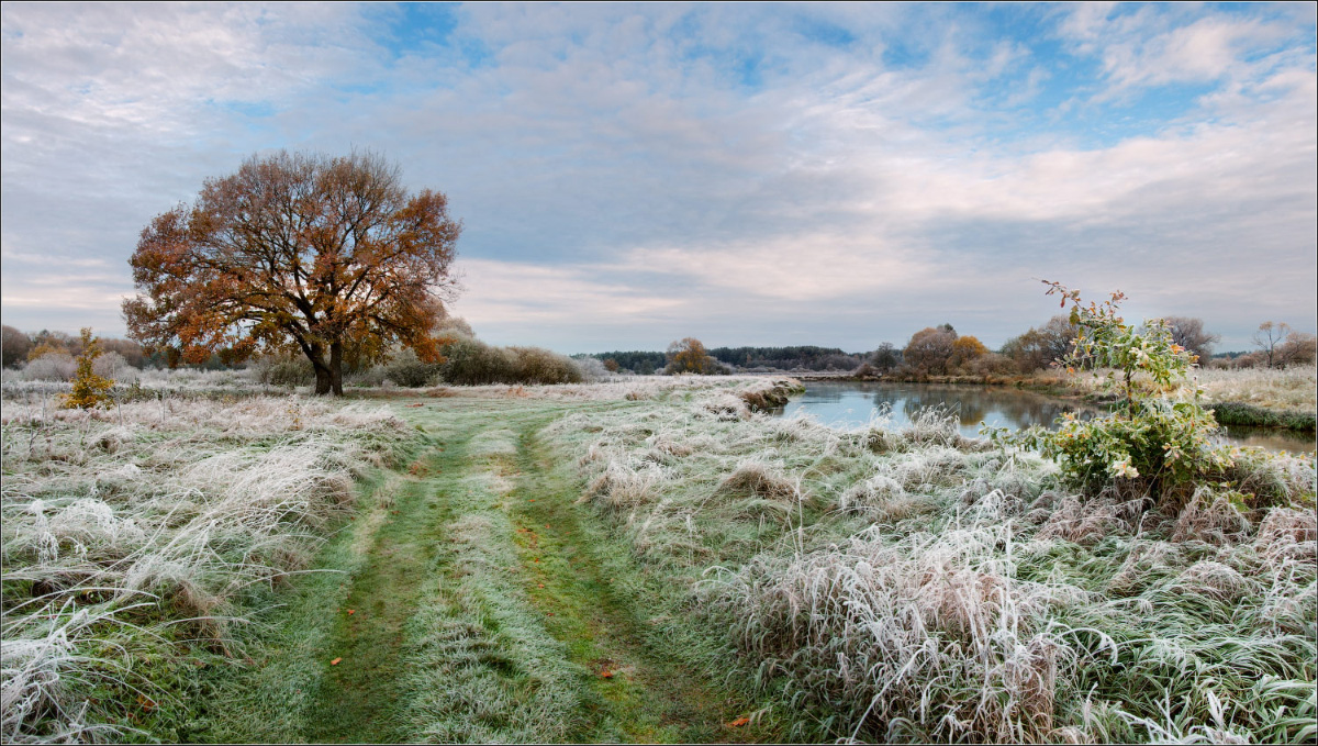 Заморозки до −4 ожидаются в Нижегородской области